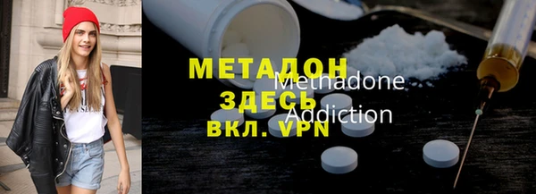 гидра Каменка