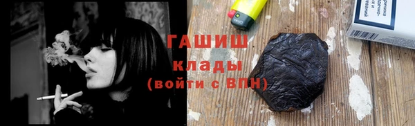 гидра Каменка