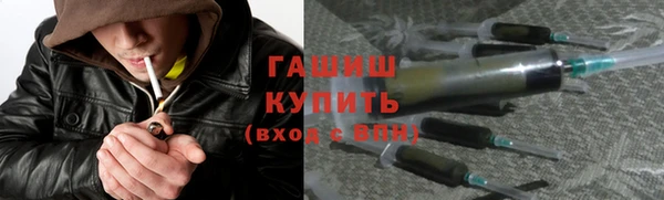 гидра Каменка