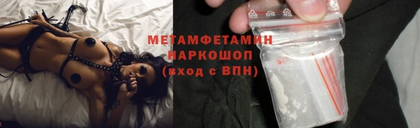 гидра Каменка
