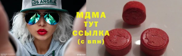 гидра Каменка