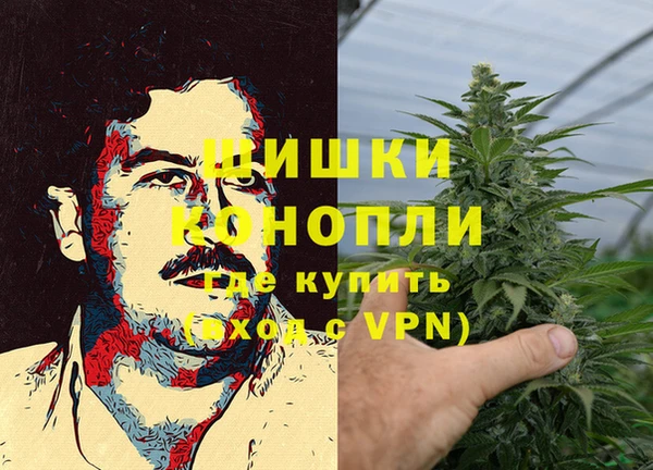 гидра Каменка