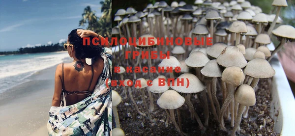 гидра Каменка
