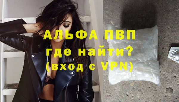 гидра Каменка