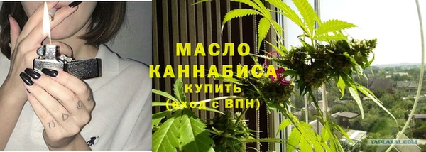 гидра Каменка