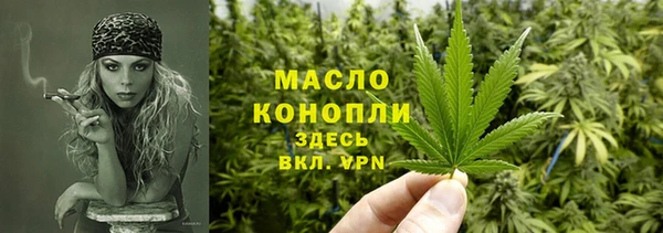 гидра Каменка