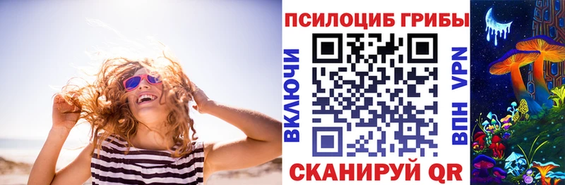 Купить  Каменск-Уральский  Псилоцибиновые грибы Cubensis 