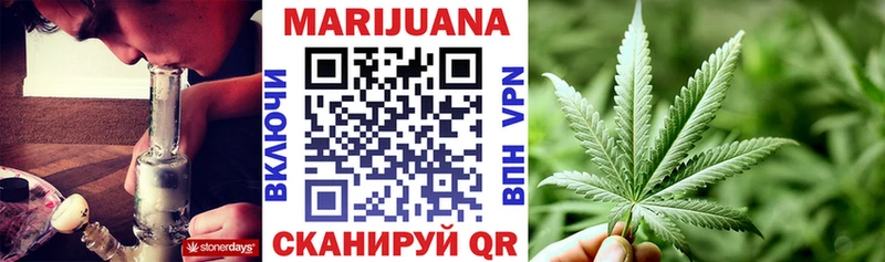 Купить где  Каменск-Уральский  Конопля сатива 